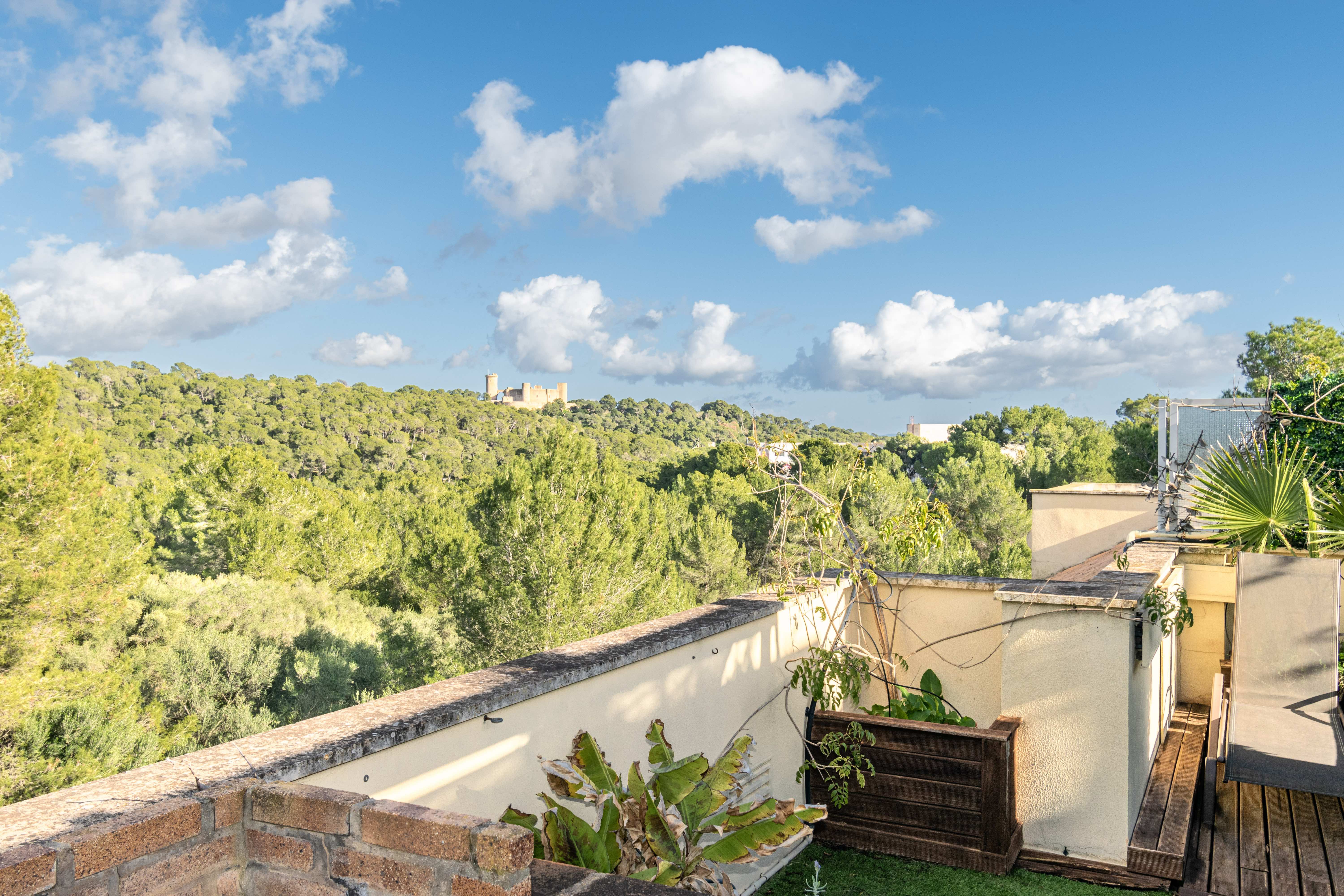 DESIGN PENTHOUSE WITH OPEN VIEWS OF THE BELLVER CASTLE